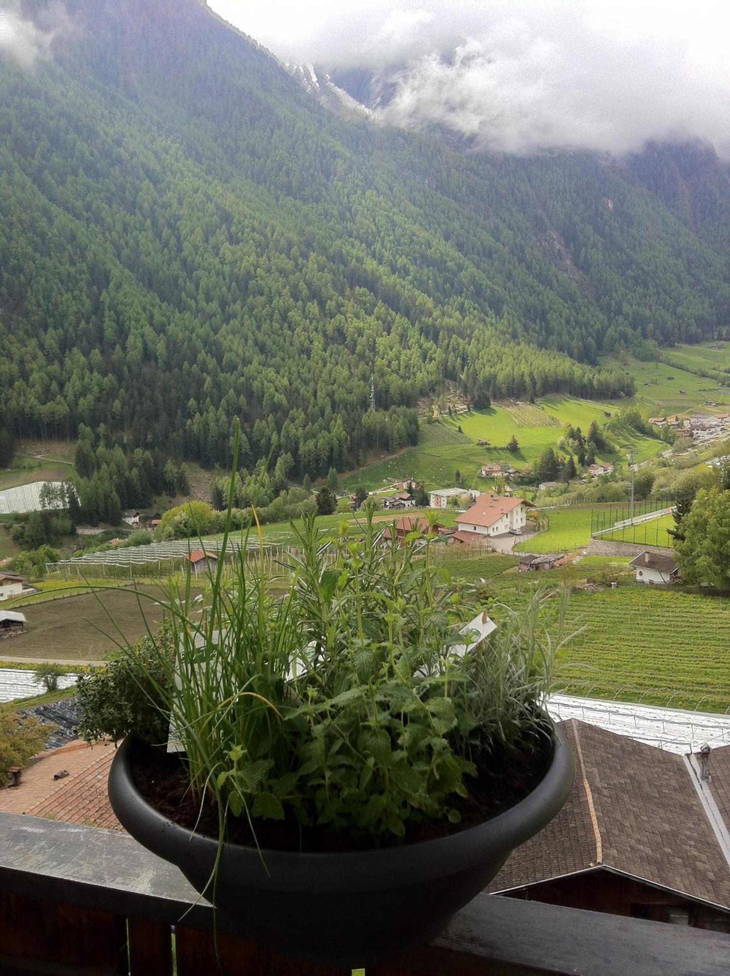Flurahof Apartment Мартело Екстериор снимка
